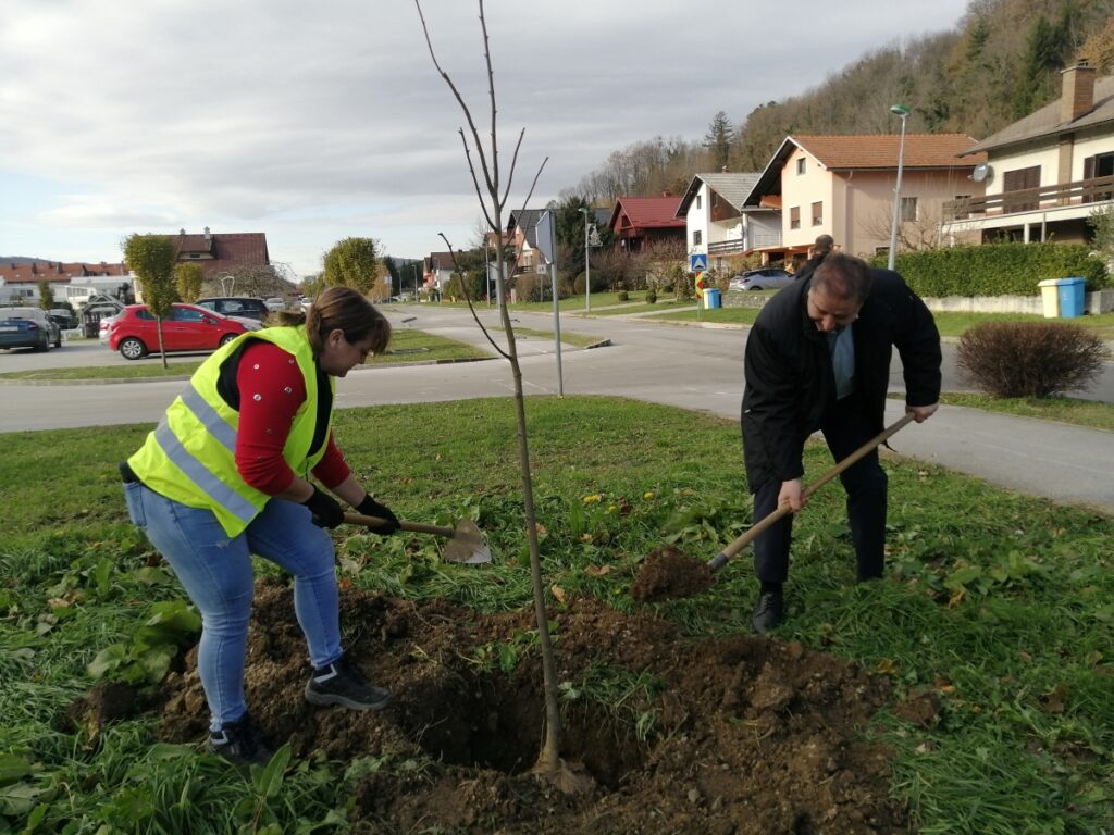 Za ljepši i zeleniji grad 2 drvored 2
