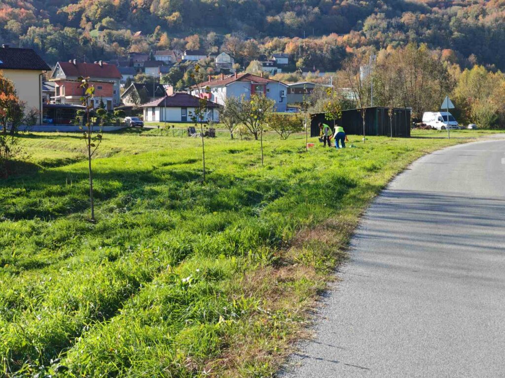 Posađeno još 30 lipa u novom drvoredu u Stepinčevoj ulici 4 viber slika 2025 10 29 14 29 47 504