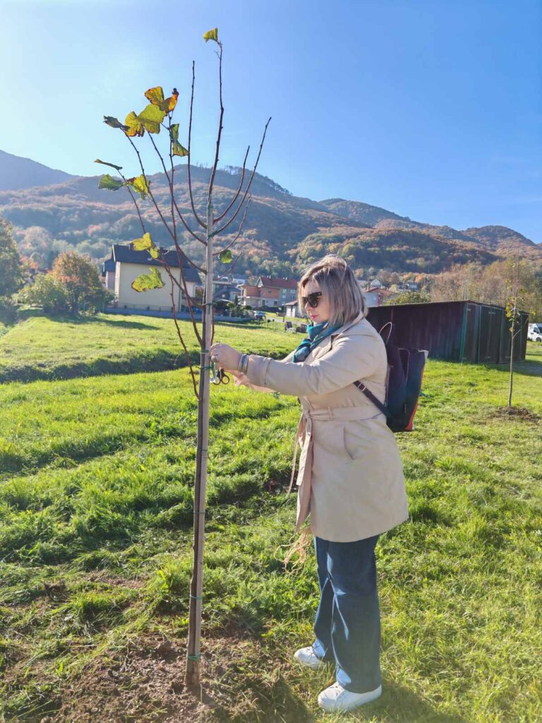 Posađeno još 30 lipa u novom drvoredu u Stepinčevoj ulici 5 viber slika 2025 10 29 14 29 47 542